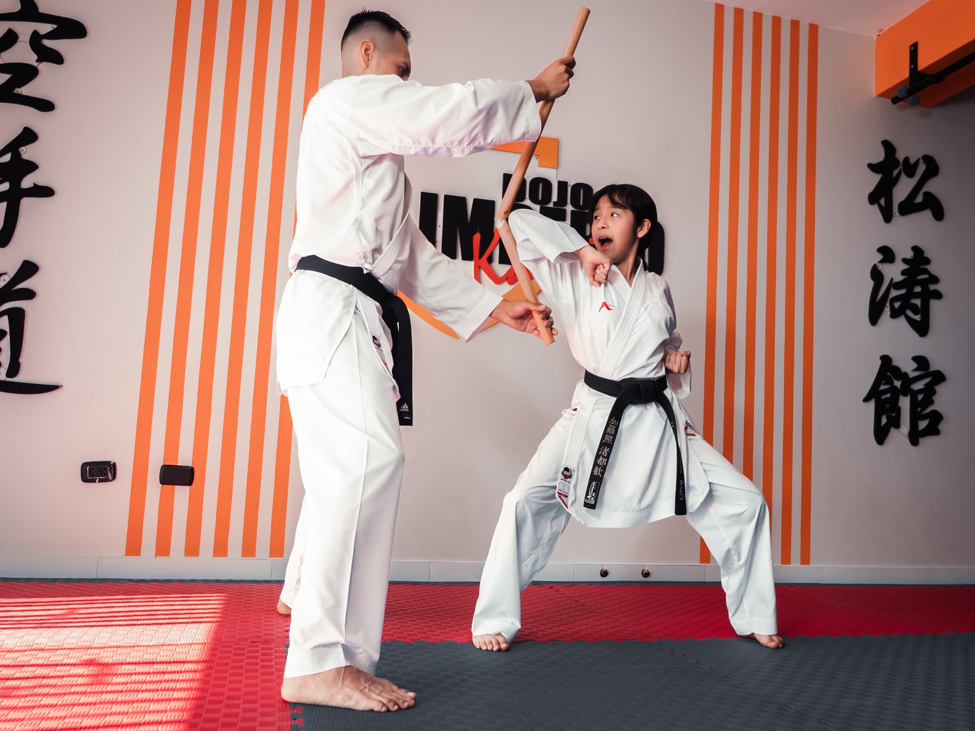 Karate-Do
