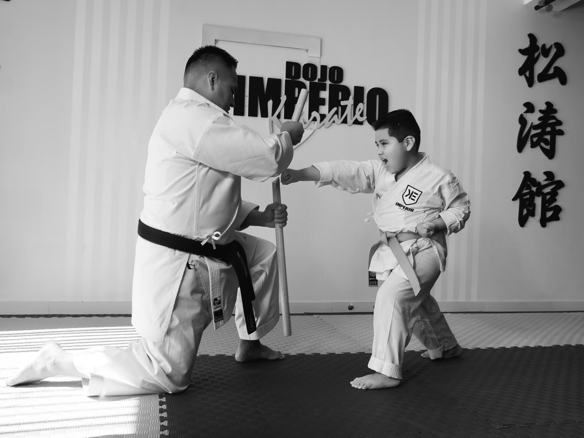 Defensa Personal